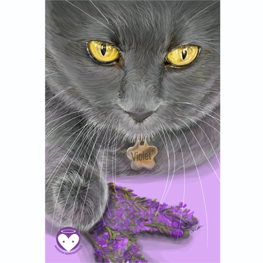 PROMO RAINBOW REM_FEB 26_violet_5